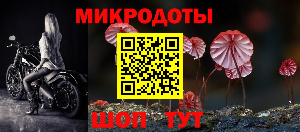 Галлюциногенные грибы Psilocybe  Псилоцибиновые грибы GOLDEN TEACHER  Бугуруслан  Вход с VPN 