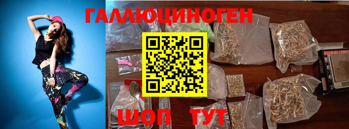 Псилоцибиновые грибы Psilocybe Бугуруслан